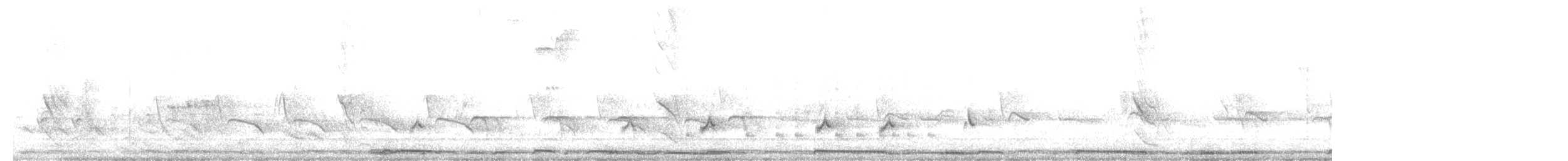 hrdlička bělavokřídlá - ML638487830
