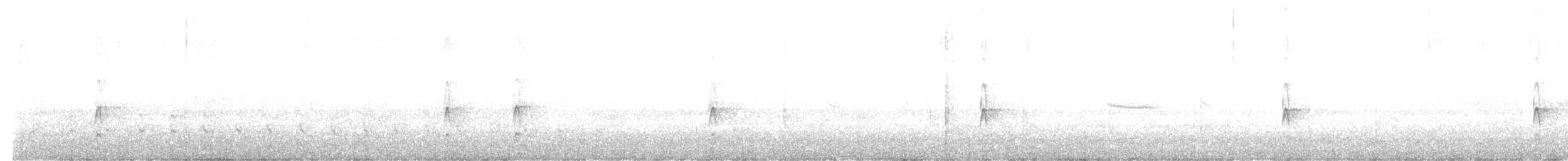 Couch's Kingbird - ML638487897