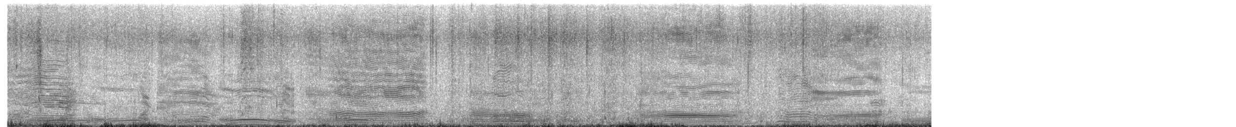 Albatros à sourcils noirs (melanophris) - ML638488229