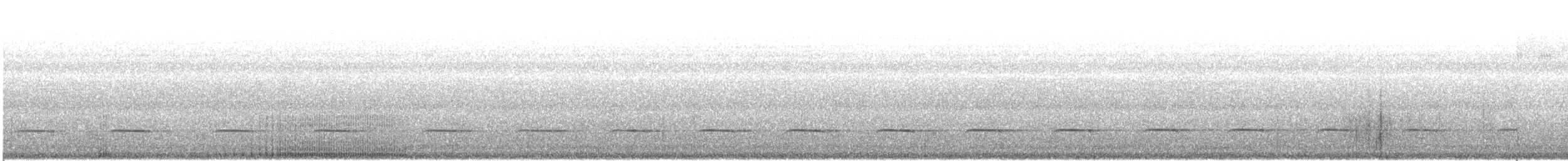 holub obijský - ML63848881