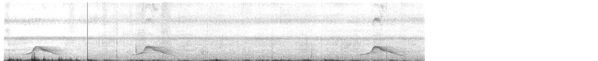 Common Pauraque - ML638489745