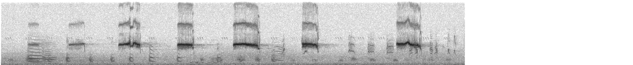 Iberian Gray Shrike - ML638489863
