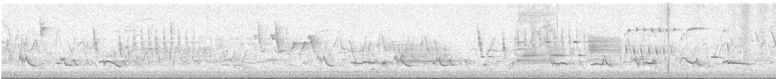 Sedge Wren - ML638490037