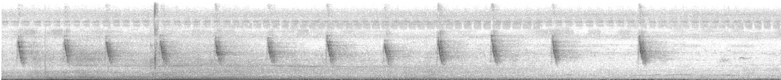 Streaked Weaver - ML638490111