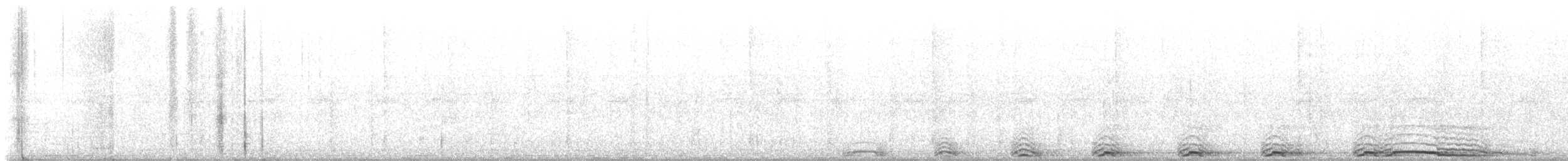 Barred Owl - ML638490528
