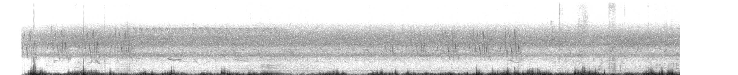 Jungle Prinia - ML638490914