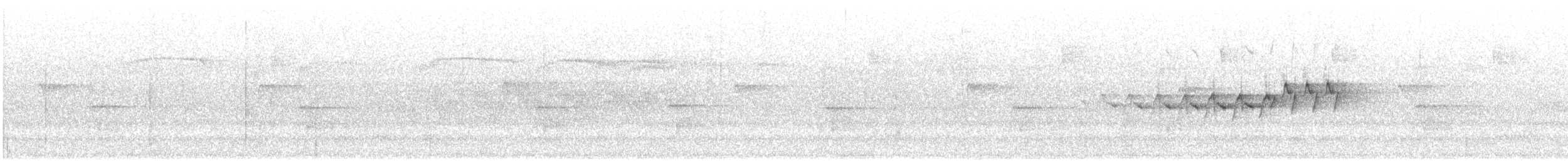 Yellow-rumped Warbler (Myrtle) - ML638490995