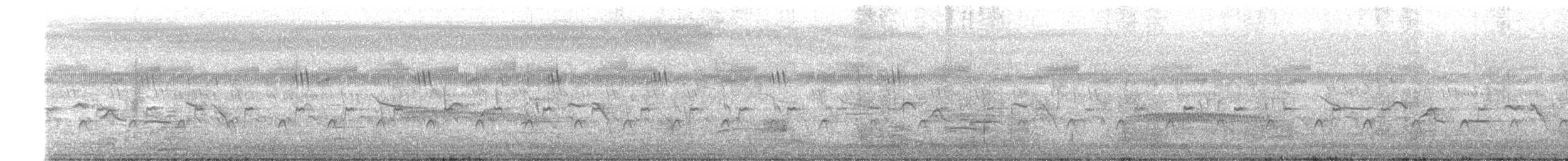 Common Tailorbird - ML638491059