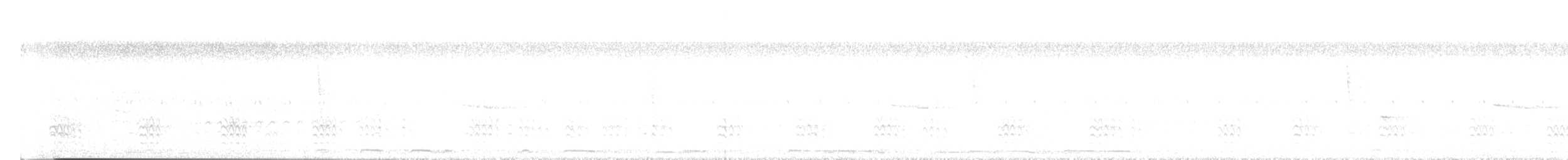 hvitbrystspettmeis (lagunae gr.) - ML638492515