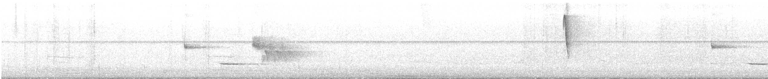 rødsidetovi - ML638492711