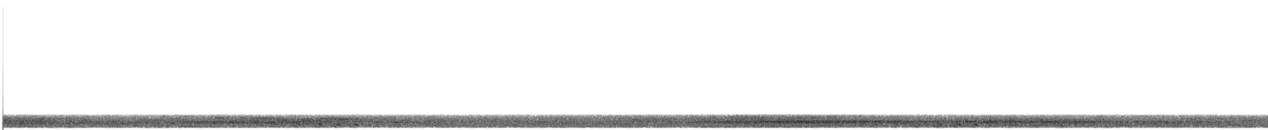 Least Bittern - ML638492945