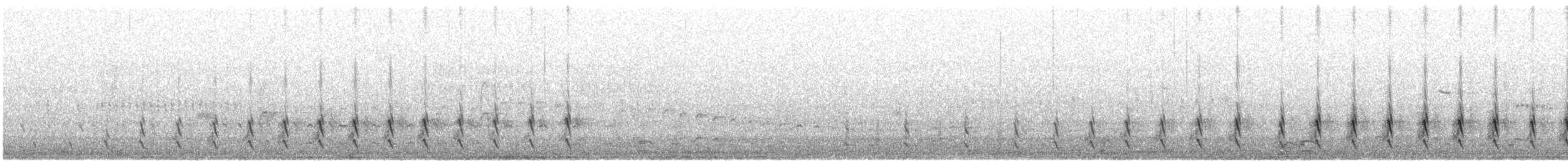 Wilson's Snipe - ML638493540