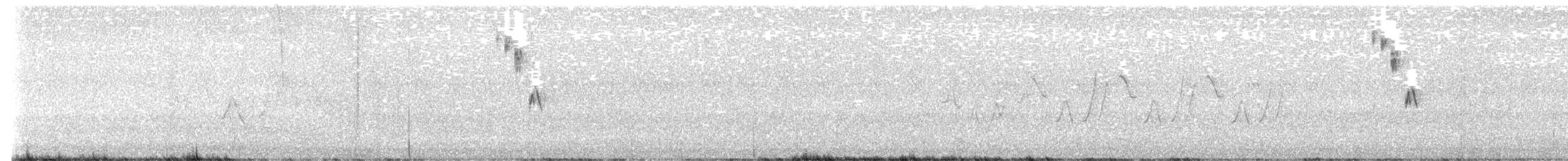 brakkspurv - ML638493987