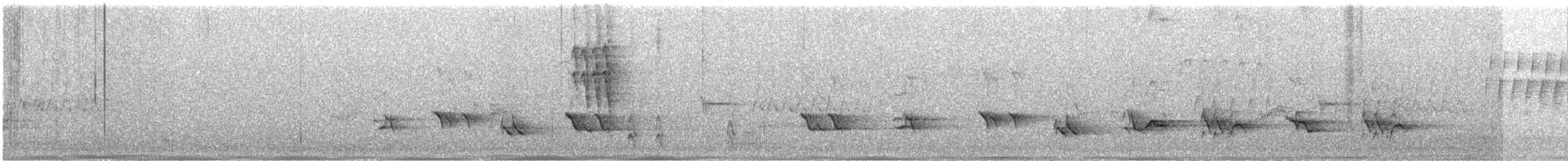 קיכלי נודד - ML638495169