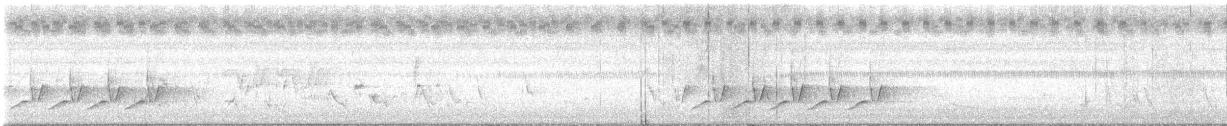 Northern House Wren - ML638495720