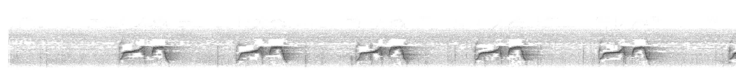 Weißflecken-Ameisenwächter - ML638496518