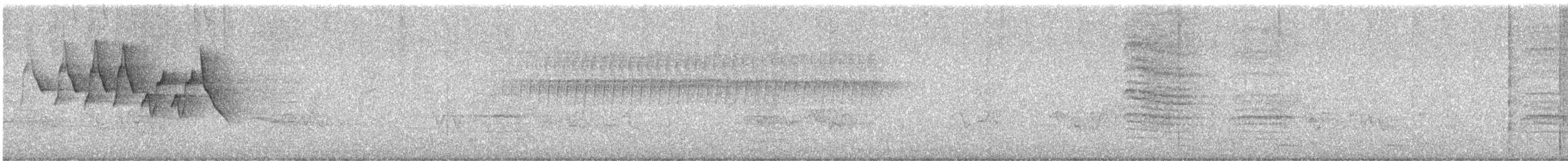 Chestnut-sided Warbler - ML638496669