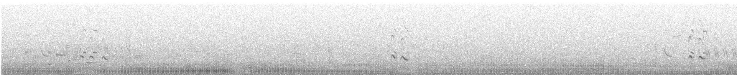 Greater Yellowlegs - ML638496752