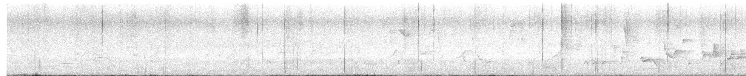 Curruca Capirotada - ML638497003