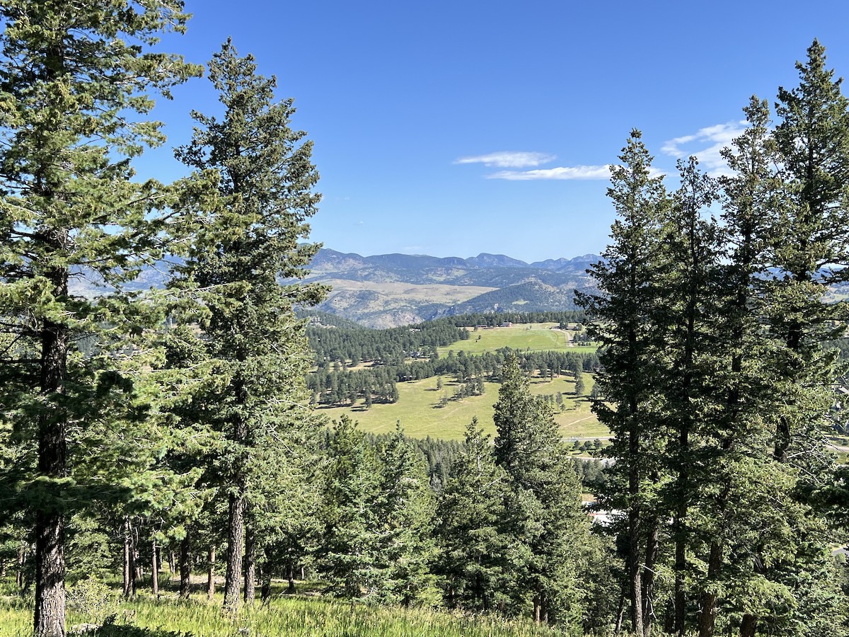 null - ML638498846