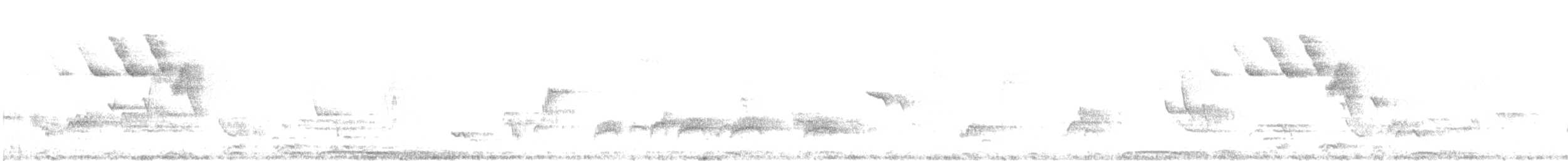 Barred Owl - ML638499009