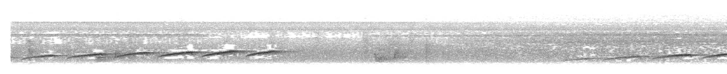 Common Scale-backed Antbird - ML638499207