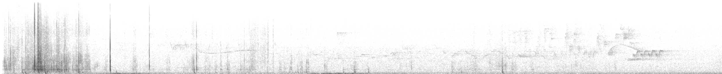 Veery - ML638499507