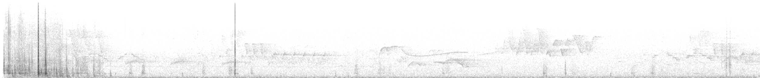 Veery - ML638499508