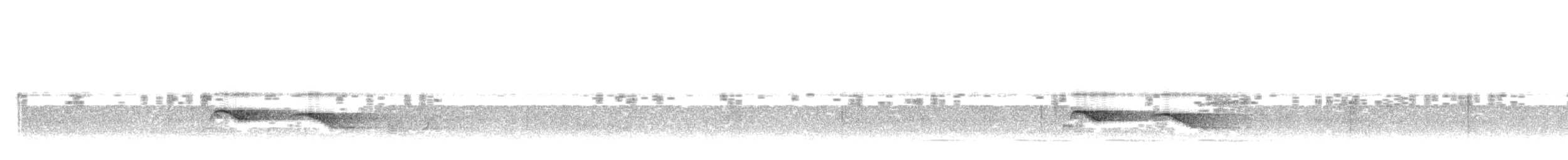 Ringed Antpipit - ML638499761