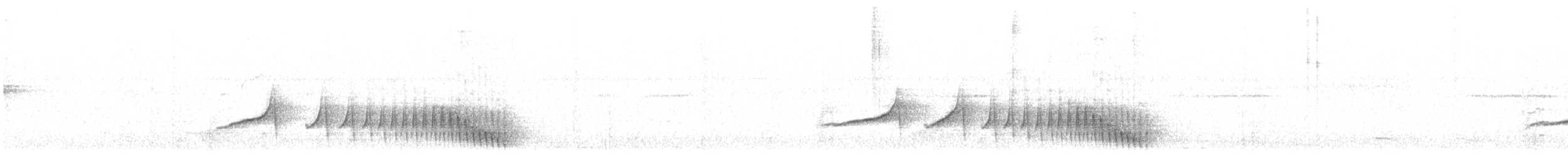 Bluish-slate Antshrike - ML638503313