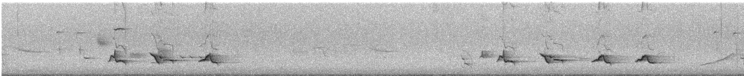 קיכלי נודד - ML638503685