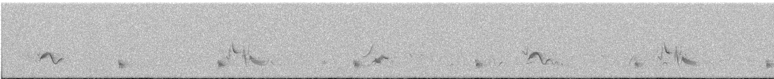 Cassin's Vireo - ML638504278