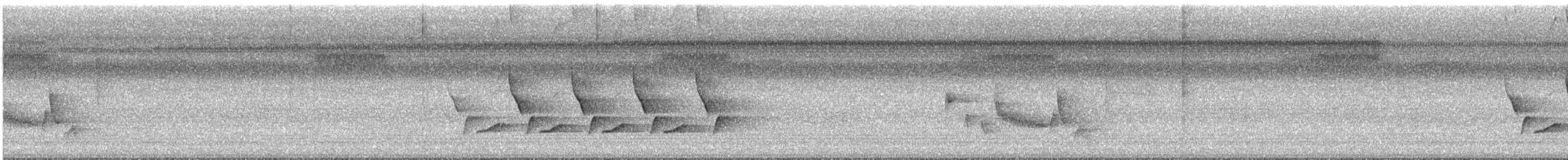 Carolina Wren - ML638504418