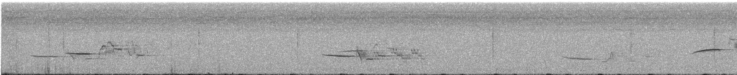 Hermit Thrush - ML638504493