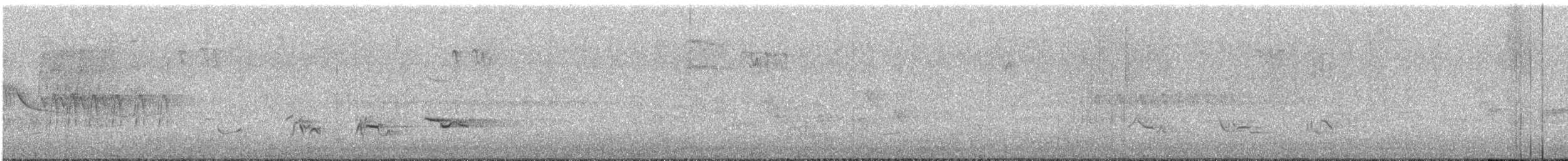 קיכלי נודד - ML638504495