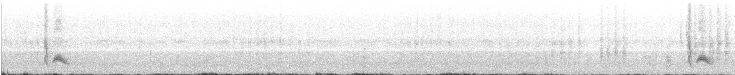 Cassin's Kingbird - ML638505040