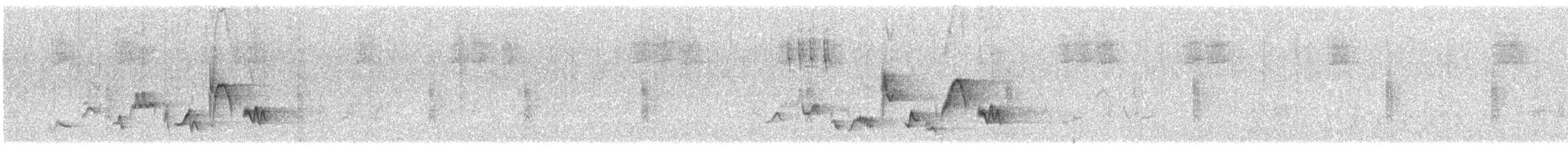 Western Warbling Vireo - ML638506499