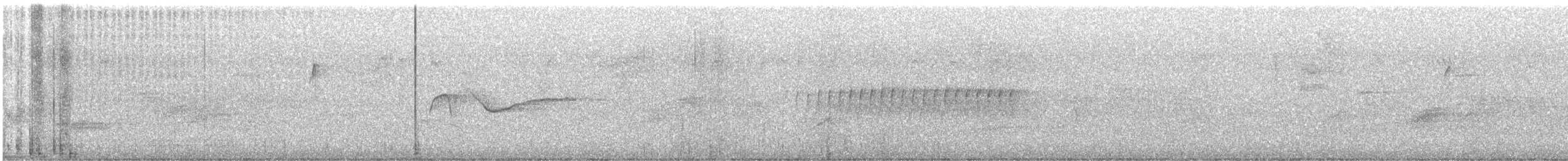 Eastern Wood-Pewee - ML638507164