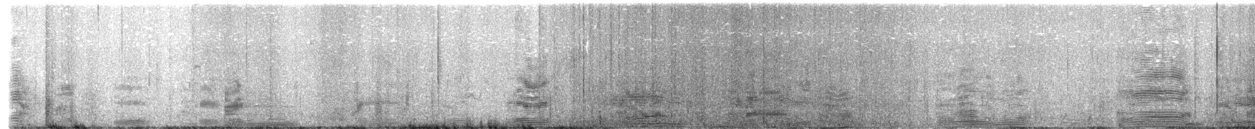Albatros à sourcils noirs (melanophris) - ML638507558