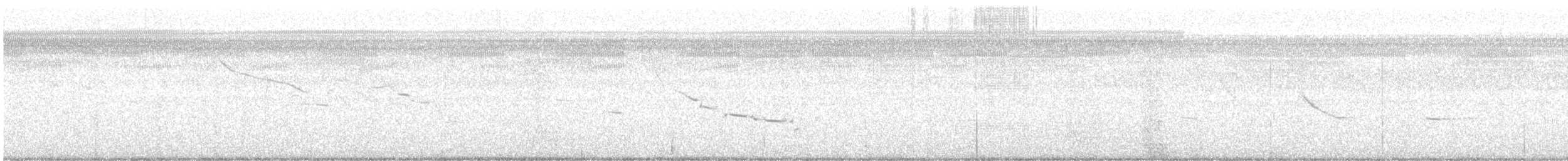 Northern Bobwhite - ML638508495