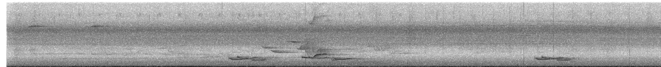 Lance-tailed Manakin - ML638509324
