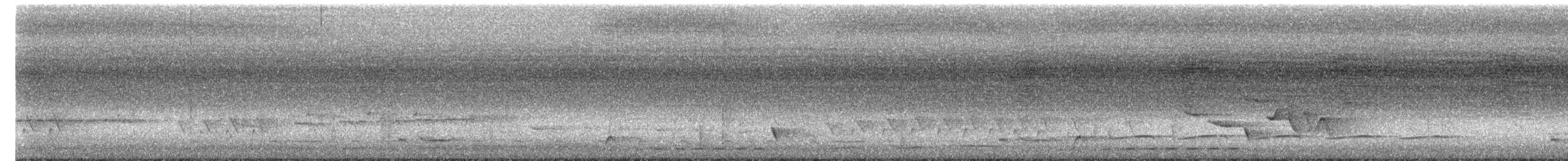 Rufous-and-white Wren - ML638509356