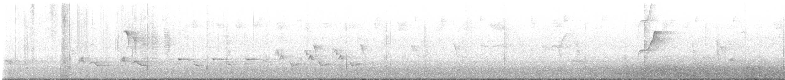 Western Flycatcher (Pacific-slope) - ML638510811