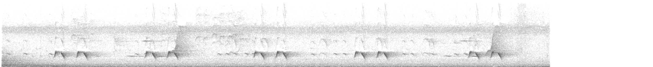 Çizgili Panterkuşu - ML638511200