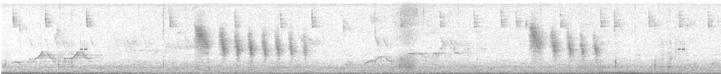 Cassin Vireosu - ML638511319