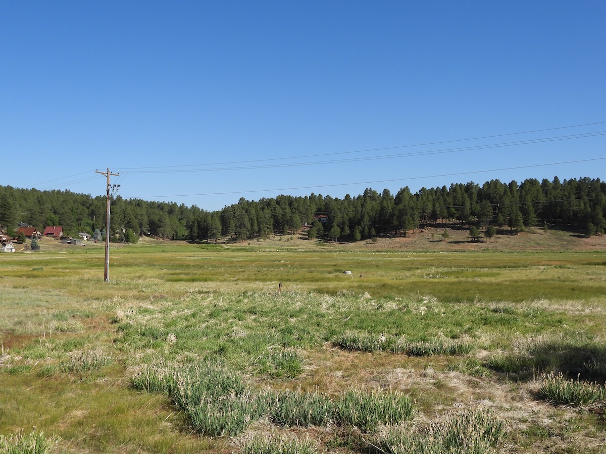 null - ML638512817