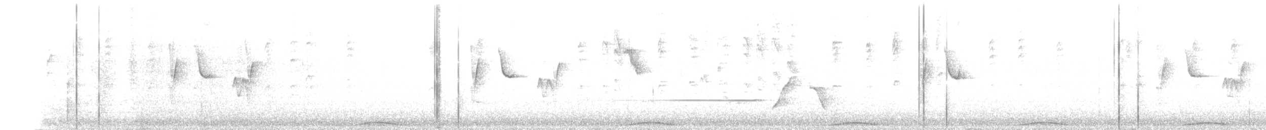 Phasianelle onchall - ML638513577