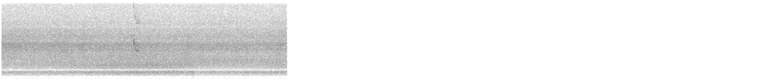 Black Phoebe (Northern) - ML638513631