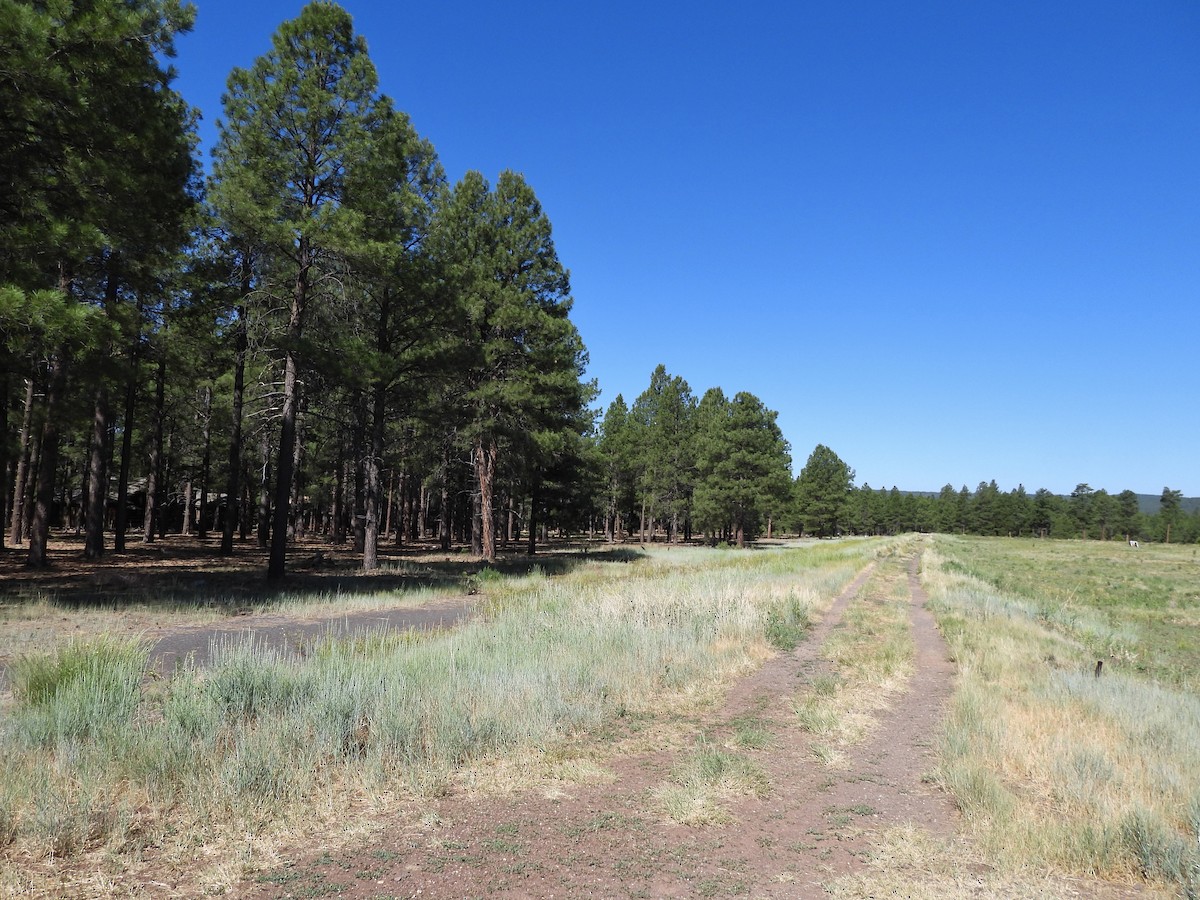 null - ML638513848