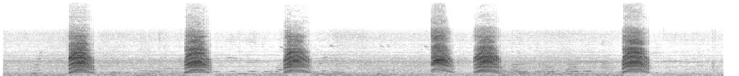 Silver Gull - ML638513887